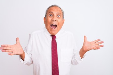 Wall Mural - Senior grey-haired businessman wearing elegant tie over isolated white background celebrating crazy and amazed for success with arms raised and open eyes screaming excited. Winner concept