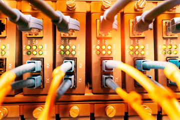 fiber optic cables connected to optic ports and utp, network cables connected to ethernet ports