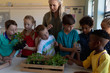 © WavebreakMediaMicro - Female teacher around a box of plants for a nature study lesson in an elementary school classroom