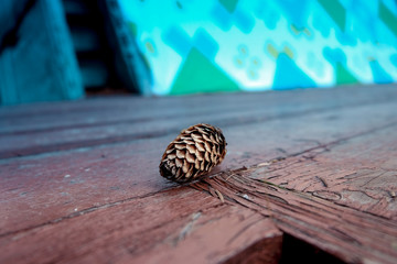 Canvas Print - Christmas Tree, bumps on wooden background space for lettering