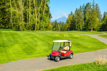 Golf carts on a golf course