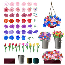 Set Of Petunia And Tulip Flower Buds For Making Flower Arrangements With Examples Of Use In Baskets, Buckets And Pots. Vector Illustration In A Cartoon,  Realistic Style Isolated On A White Background