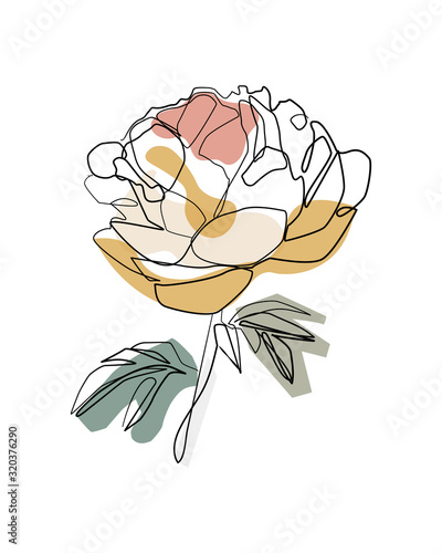 Fotomural Bouquet of peony in one line art drawing style