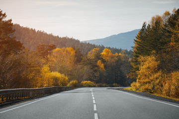 Wall Mural - Country road. Forest. Autumn season.