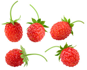 wild strawberry isolated on white background, clipping path, full depth of field