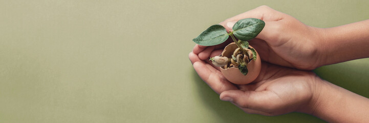 hands holding seedling in eggshells, montessori education , CSR Corporate social responsibility, Eco green sustainable living concept,zero waste, plastic free,world food day, responsible comsumption