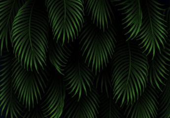 Leaves and branches of palm trees. Tropical leaf background. Branch palm realistic. Green foliage, tropic leaves pattern. vector illustration