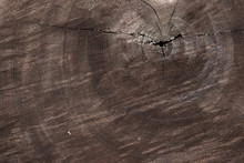 Brown Wood Lumber Log Texture Background