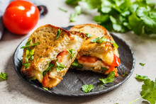 Grilled Cheese Sandwich With Tomato And Greens, Dark Background.