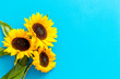 Bouquet of sunflowers on blue background top-down copy space