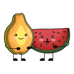 Sticker - fresh watermelon and papaya kawaii characters