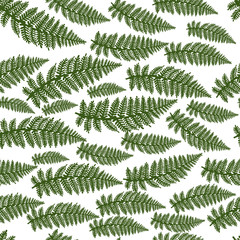Poster - Beautiful pattern with tropical leaves for textile design. Modern palm seamless pattern. Modern wallpaper. Beautiful floral texture. Jungle vector floral template. Summer nature print. Tropical leaves