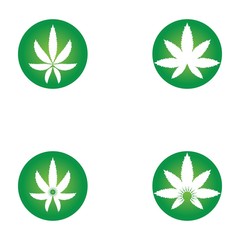 Wall Mural - Set of vector illustration icon of cannabis leaves green with white background