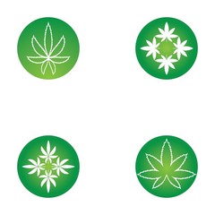 Wall Mural - Set of vector illustration icon of cannabis leaves green with white background