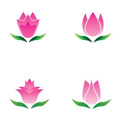 Wall Mural - Set of vector illustration icon of beautiful tulips with white background