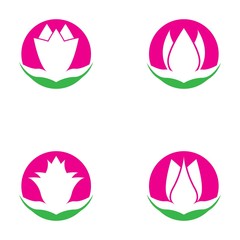 Wall Mural - Set of vector illustration icon of beautiful tulips with white background