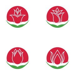 Wall Mural - Set of vector illustration icon of beautiful tulips with white background