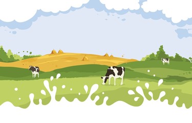 Wall Mural - Abstract rural landscape with cows. Vector illustration, fields and meadows with milk drops	