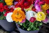 Full basket of colorful persian buttercup flowers or Ranunculus asiaticus bouquets in the flowers shop.