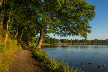 Wall Mural - Path near Olecko Wielkie lake in Olecko, Masuria, Poland