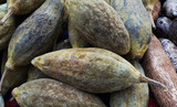 fresh baobab fruit