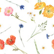 © zenina - Beautiful floral summer seamless pattern with watercolor hand drawn field wild flowers. Stock illustration.