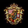 Heraldic shield with a crown on a black background. High detailed realistic illustration