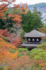 Poster - Beautiful fall colors in Ginkaku-ji Silver Pavilion during the autumn season in Kyoto