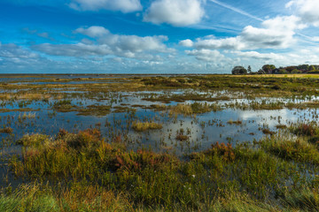 Morston salt Marshes seen from the Blakeney to Morston coastal path. Norfolk, England, UK.