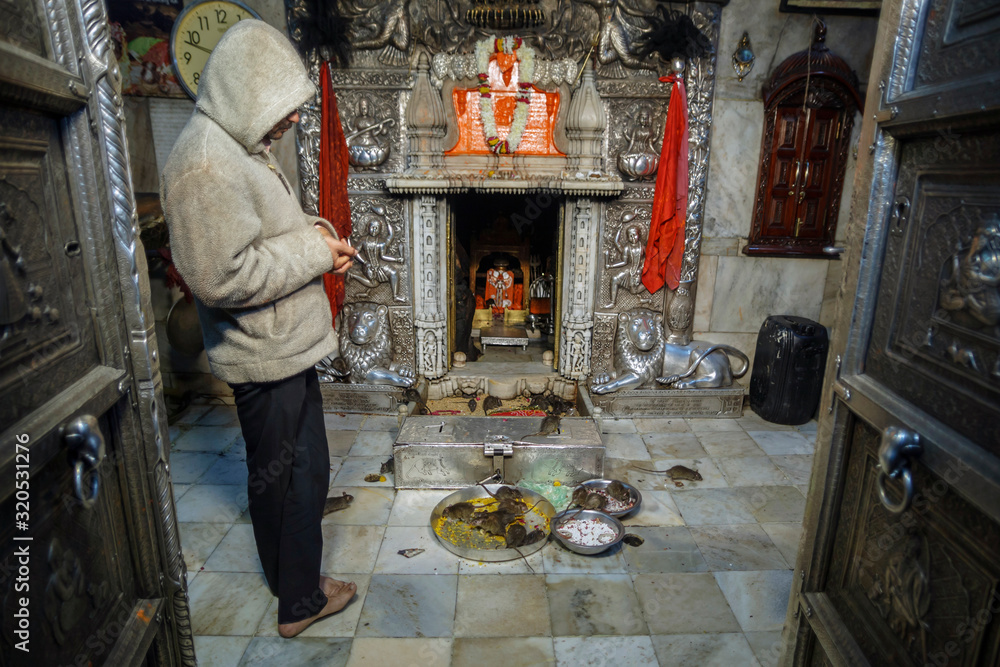 Bikaner, India - January 5, 2020: Worker at Karni Mata Temple in the ...