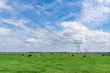Spring landscape with grazing cows in a green meadow against a bright blue sky and skyline. High-voltage transmission line with an electric tower in the countryside natural landscape, selective focus.