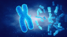 Chromosome Mutations And Anomalies, Genetic Disorders And Gene Therapy