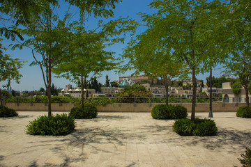 Wall Mural - city park square promenade landscaping environment space alley way with decorative trees in bright colorful day time