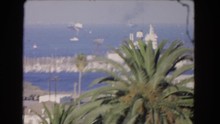 LOS ANGELES CALIFORNIA-1966: Video Of The Sea Side With Palm Trees Ann Indistinguishable Background