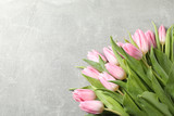 Fototapeta Tulipany - Bouquet of pink tulips on grey background, space for text