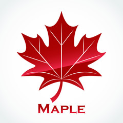 maple leaf glossy red logo