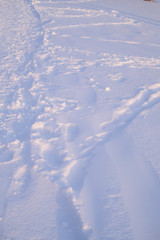 Winter texture closeup of a white snow in sunlight. Cold weather. Pure and clean nature in minimalism concept.