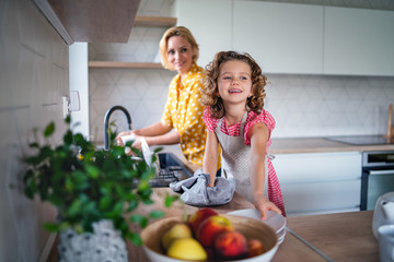 Wall Mural - A cute small girl with mother indoors in kitchen at home, washing up dishes.
