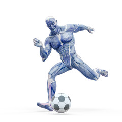 muscleman anatomy heroic body kicking the football ball in white background