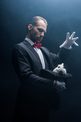 Wall Mural - professional magician gesturing over white rabbit in hat, dark room with smoke