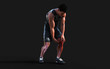 © mrjo_7 - 3d Illustration injured man feeling pain in his knee isolate on dark background with clipping path.