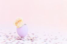Purple Easter Eggshell With Yellow,orange,beige Pastel Small Rose On Pink Background, Multicolor Confetti. Egg Is Symbol Of Celebration Of A Religious Holiday Among Catholics, Christians, Protestants