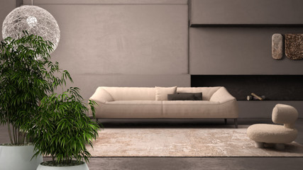 Zen interior with potted bamboo plant, natural interior design concept, elegant grunge living room with plaster walls and floor, fireplace, sofa, carpet, interior design idea