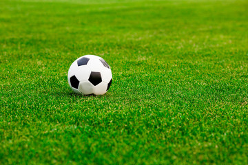  Soccer ball on the grass before the game