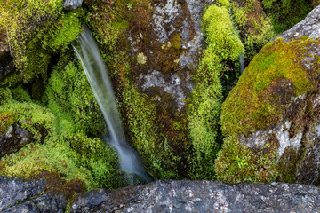 Green moss and mountain stream. Eco friendly natural background