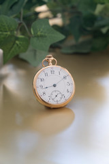 Antique gold pocket watch used to tell time in a natural setting