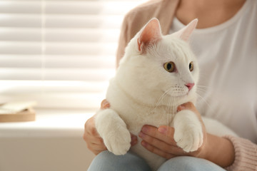 Young woman with her beautiful white cat at home, closeup. Fluffy pet