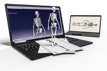 Wall Mural - 3D rendering representing a computer aided design of a human skeleton. Catia, illustration.