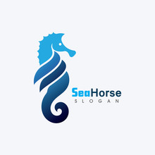 Sea Horse Free Stock Photo - Public Domain Pictures