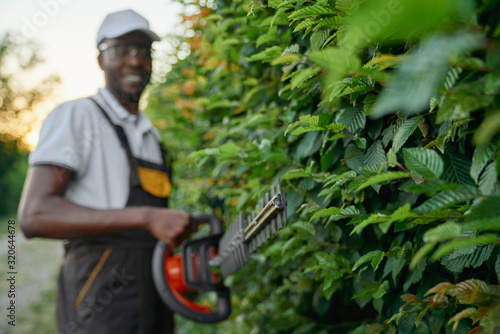 Cuadros en Lienzo Handsome afro man in uniform trimming bushes with scissors